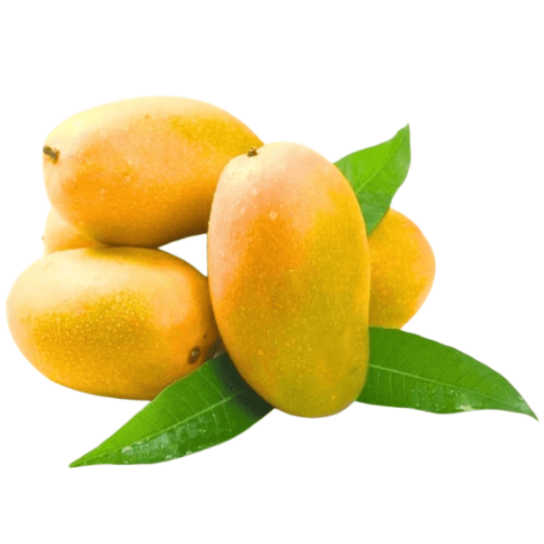 Mango Dasheri 0.95 - 1 kg آم دشیری
